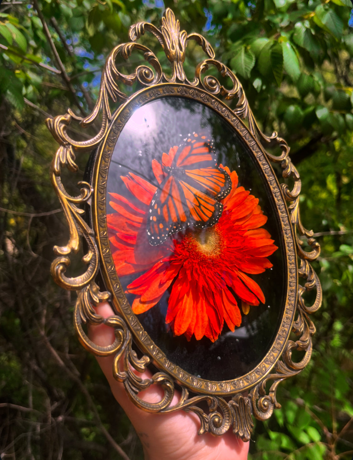 Monarchs