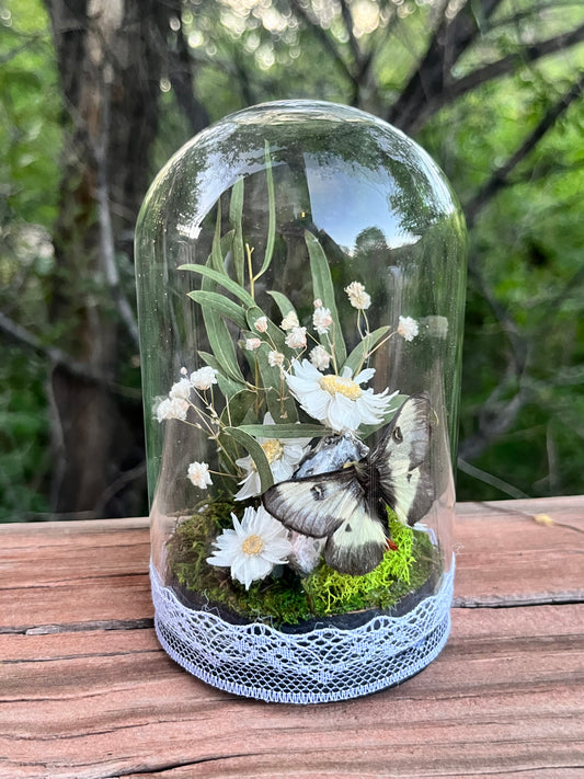 Bottled up