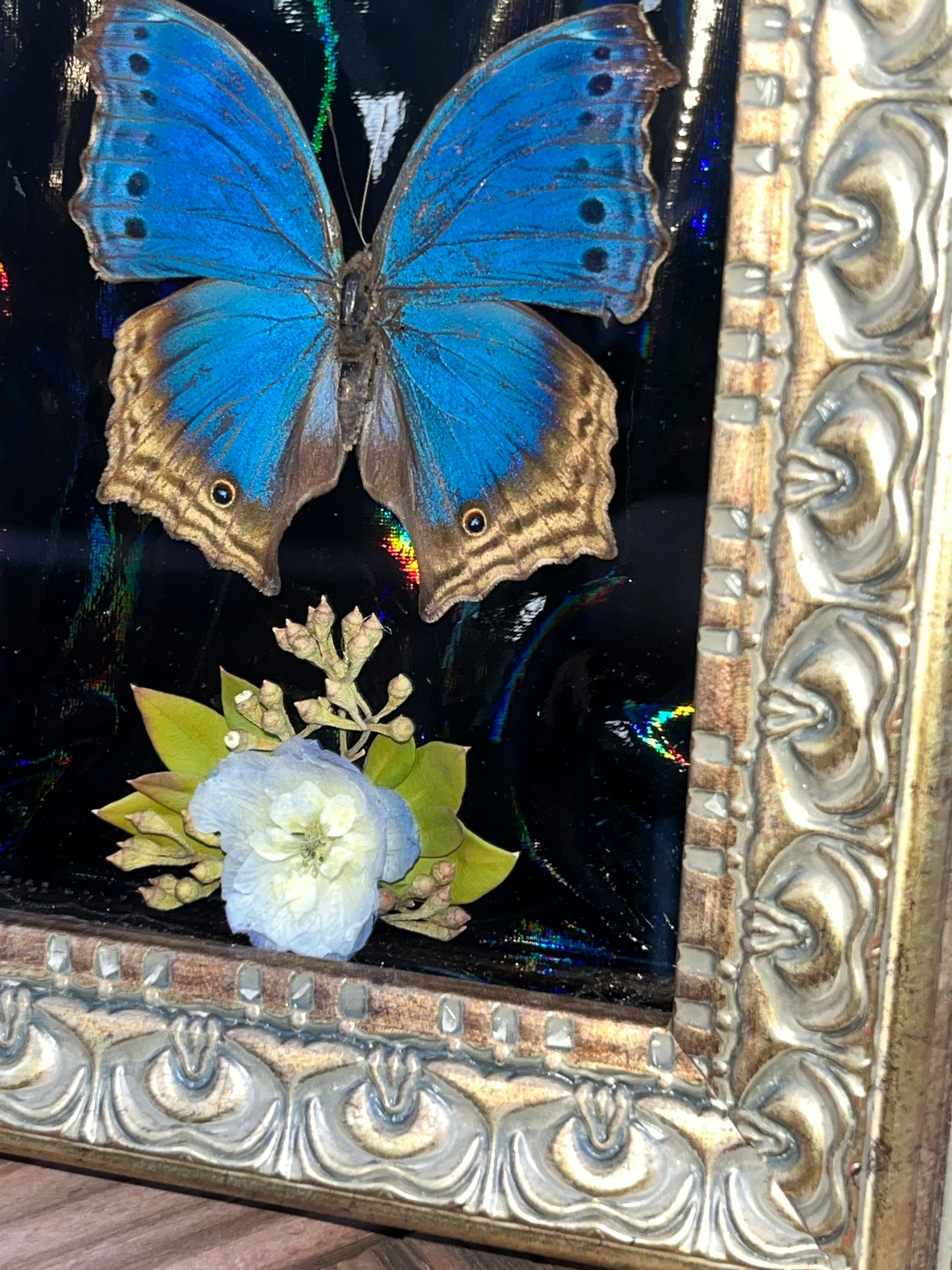Blue Mother-of-pearl