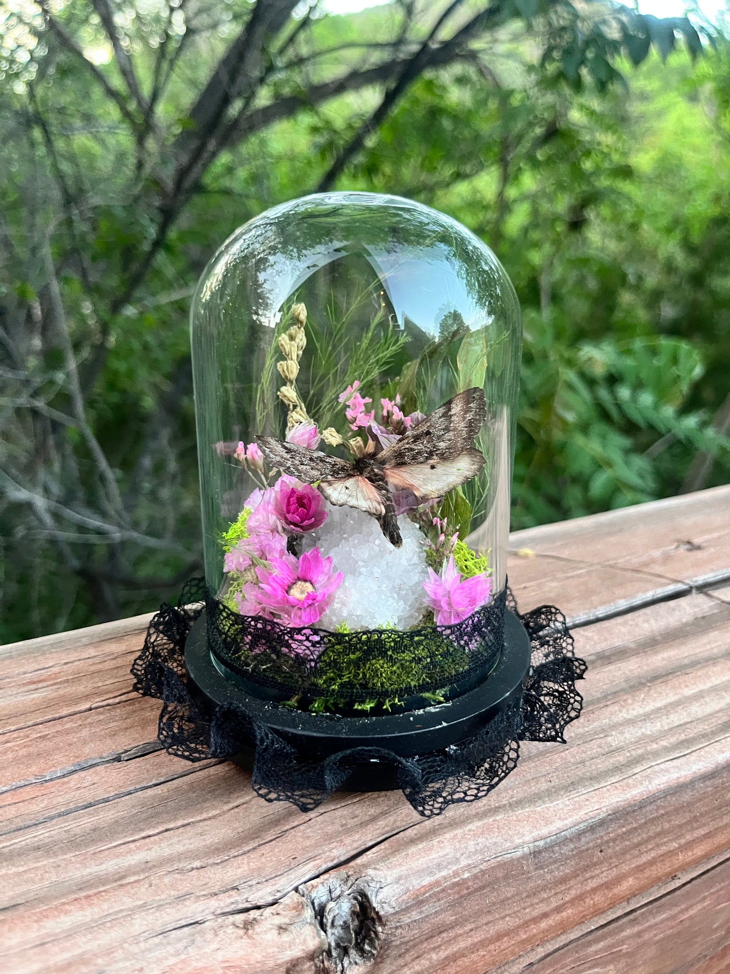 Fairy