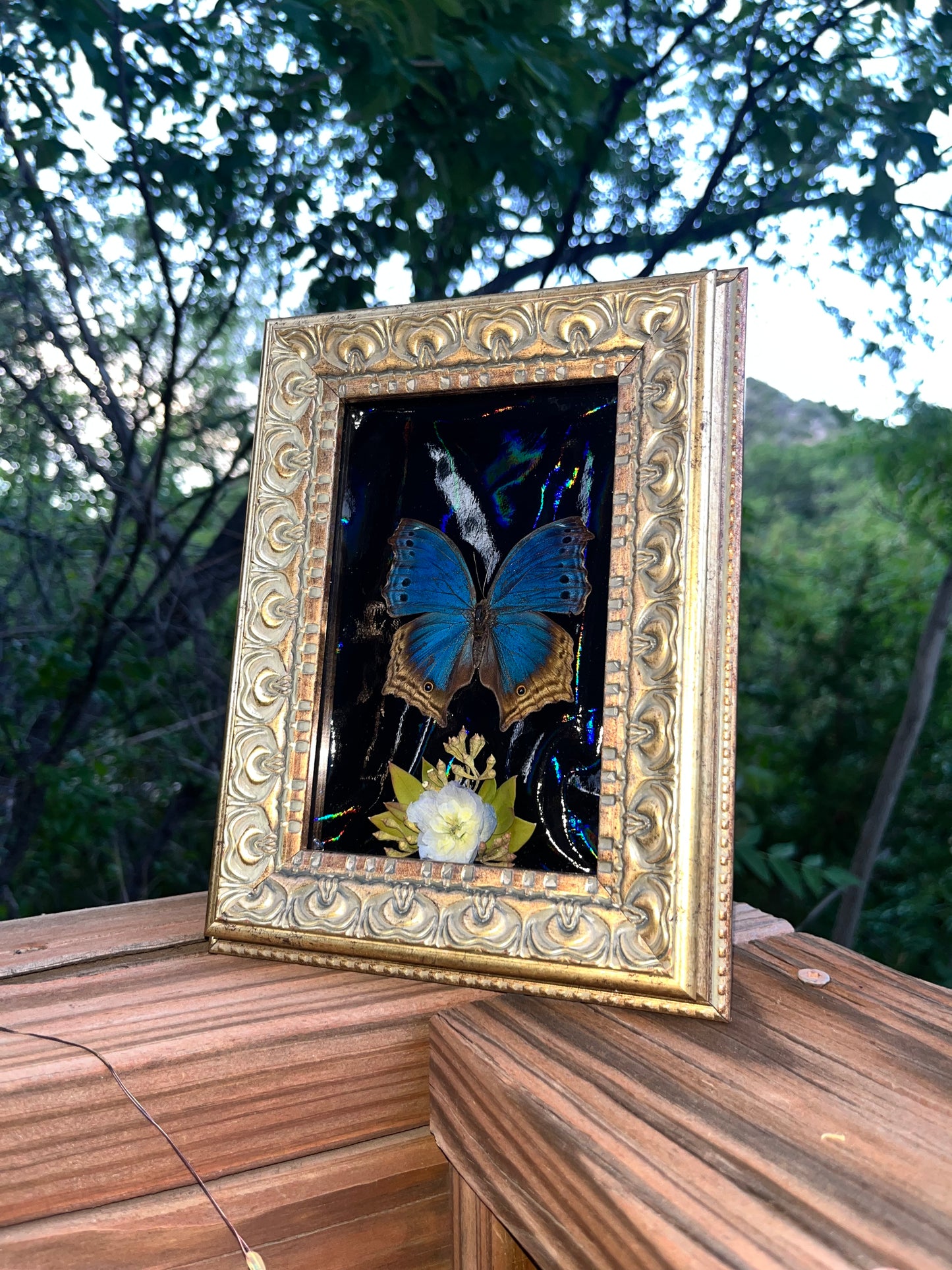 Blue Mother-of-pearl