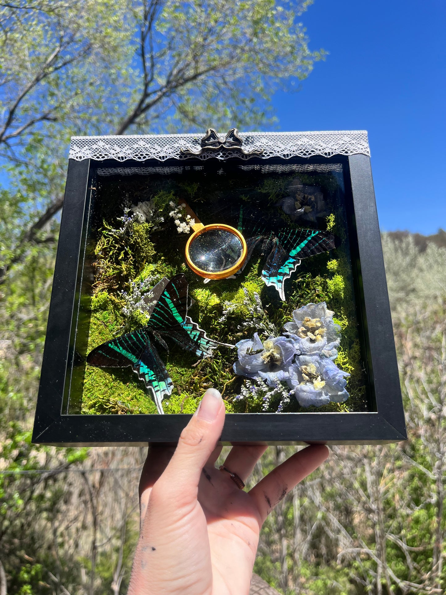 Foraging