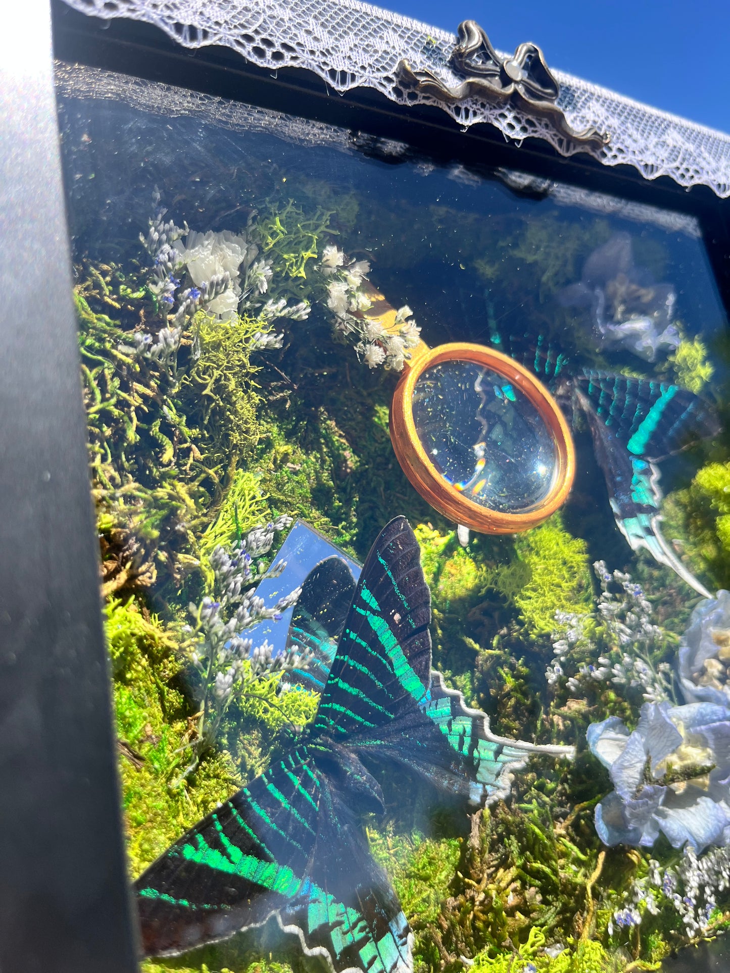 Foraging