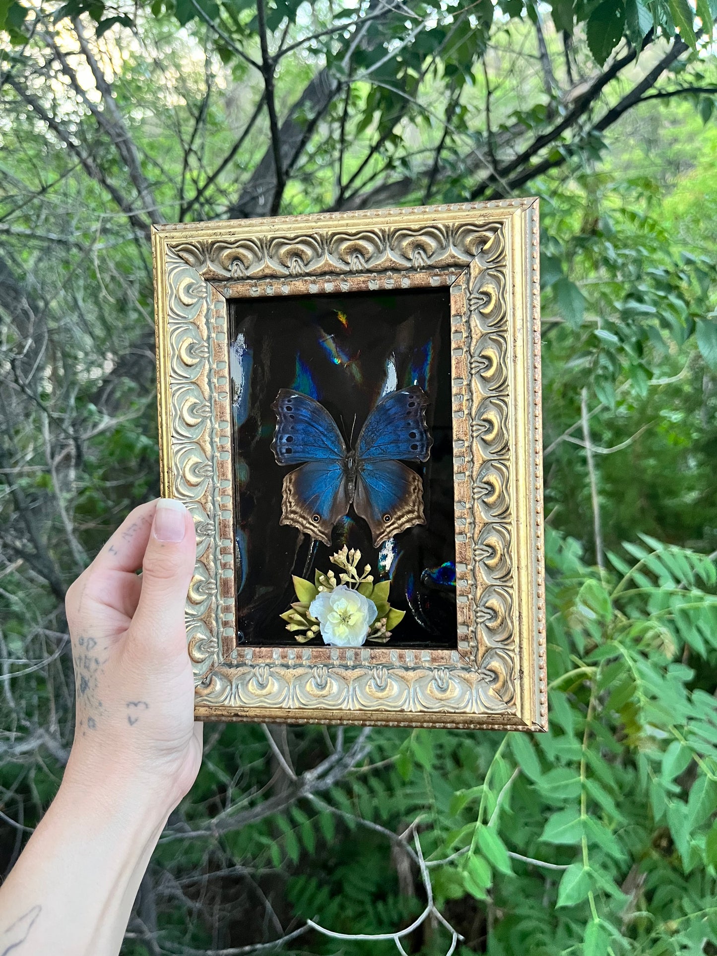 Blue Mother-of-pearl