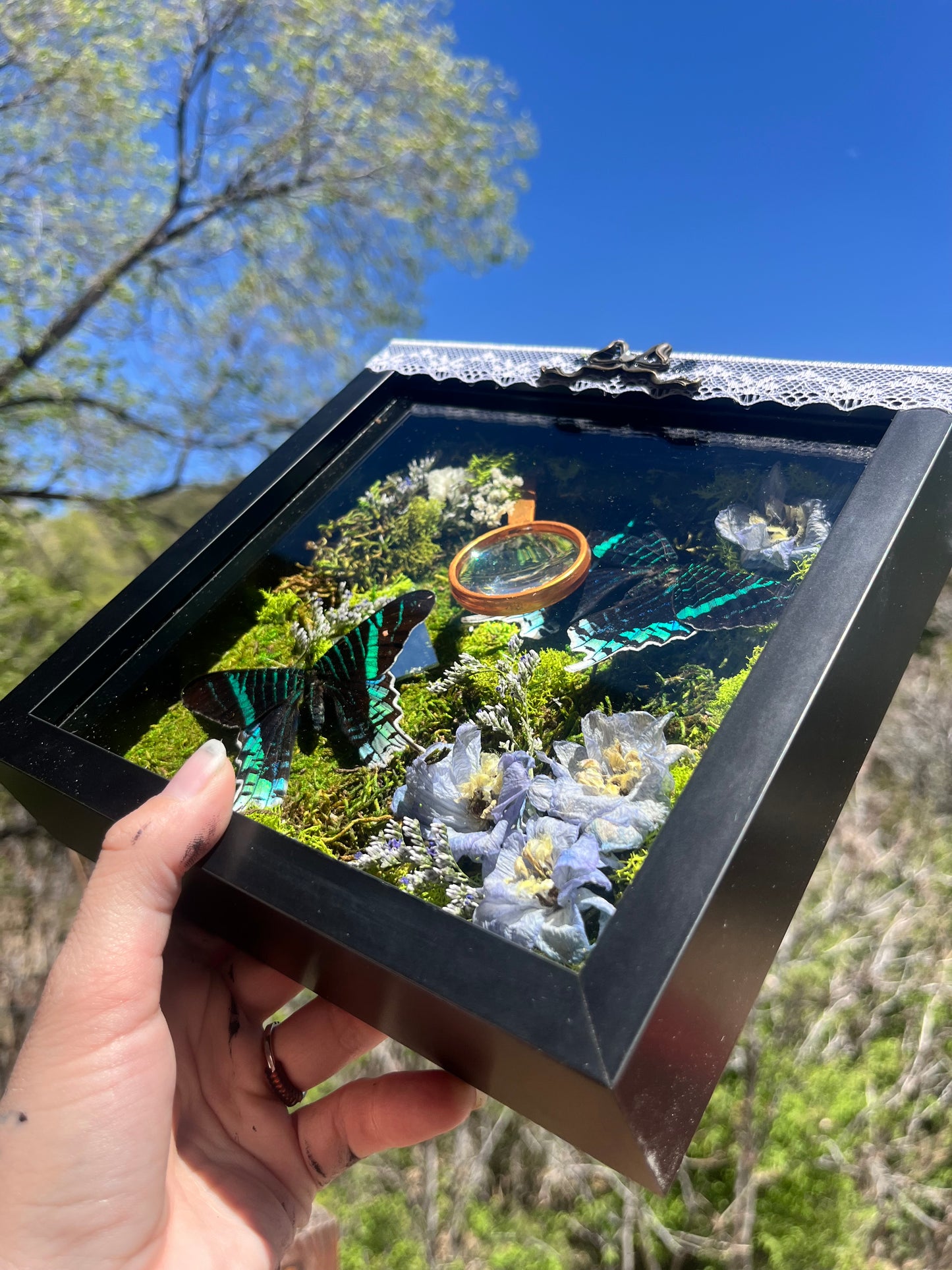 Foraging