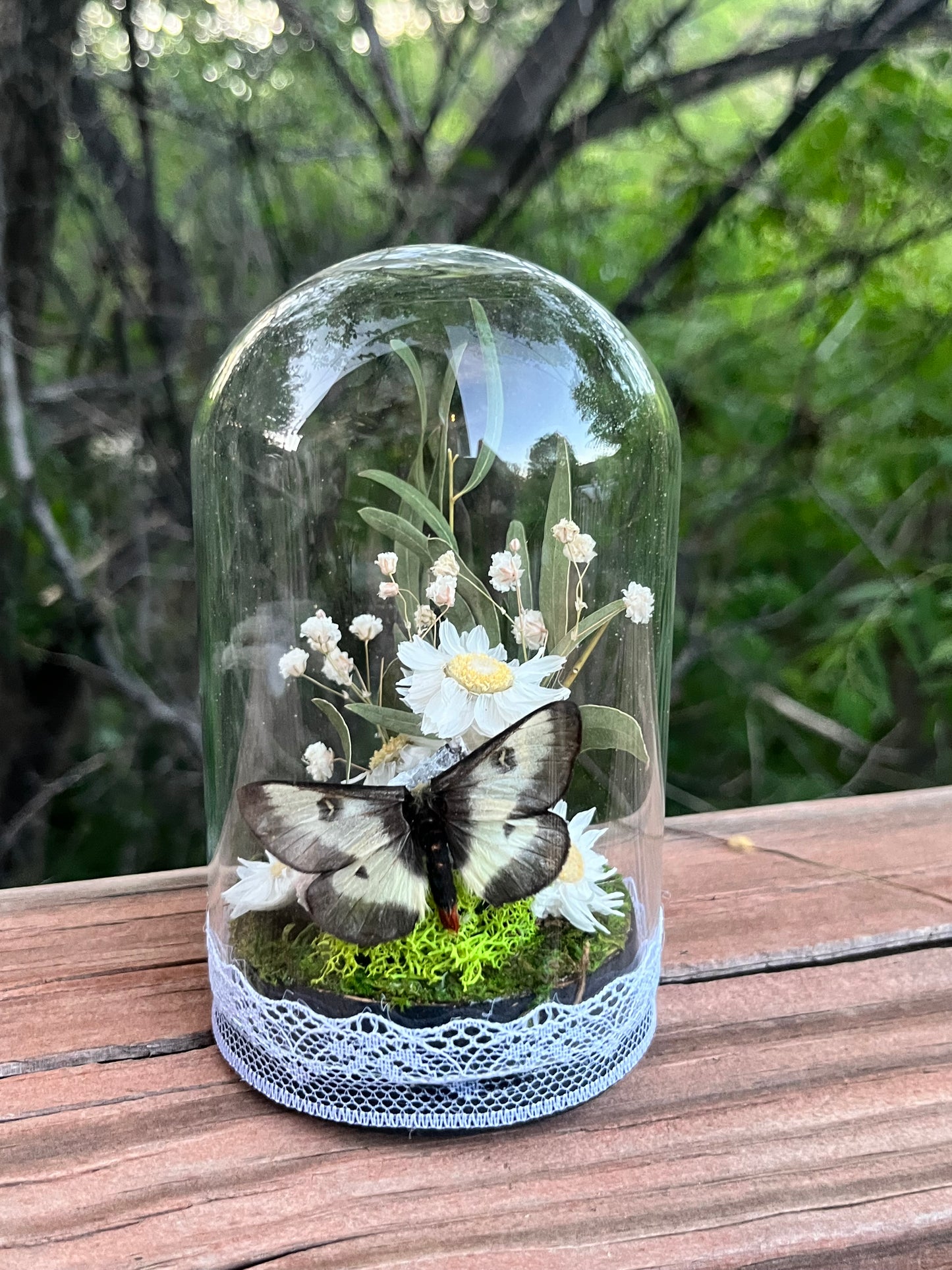 Bottled up