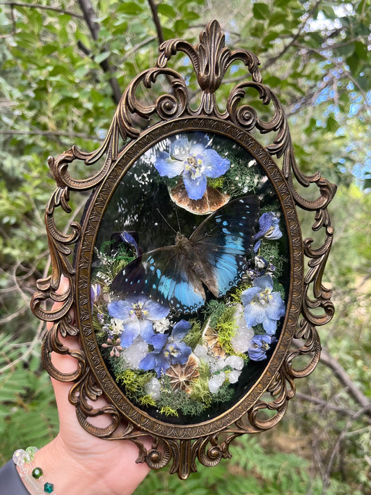 Delphinium