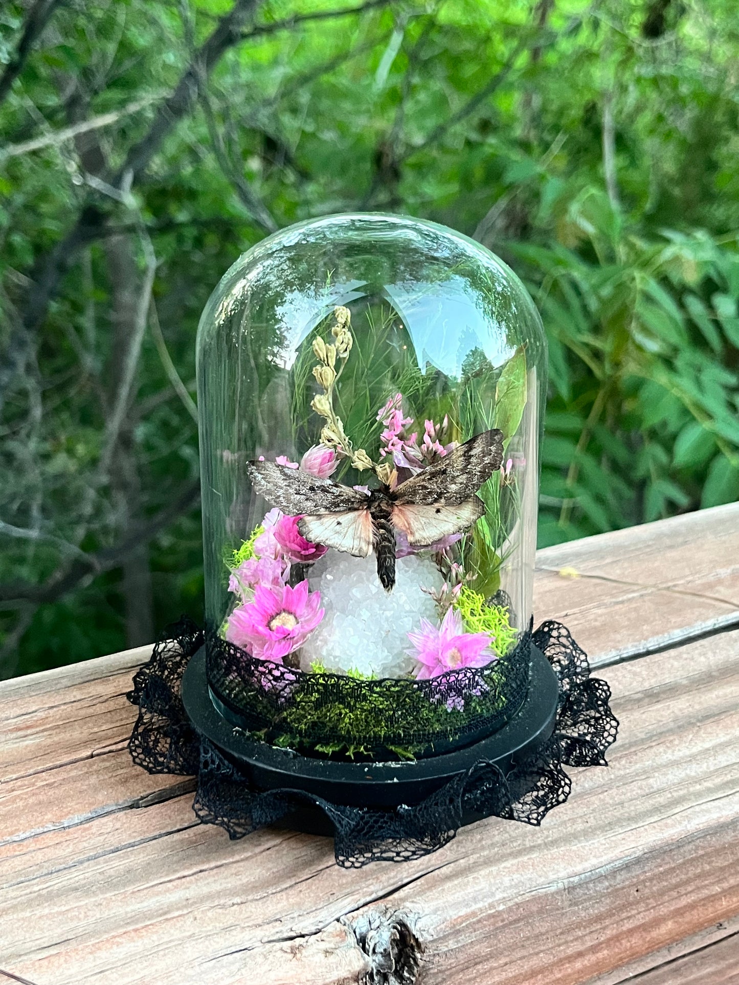 Fairy