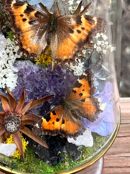 Amethyst and oranges