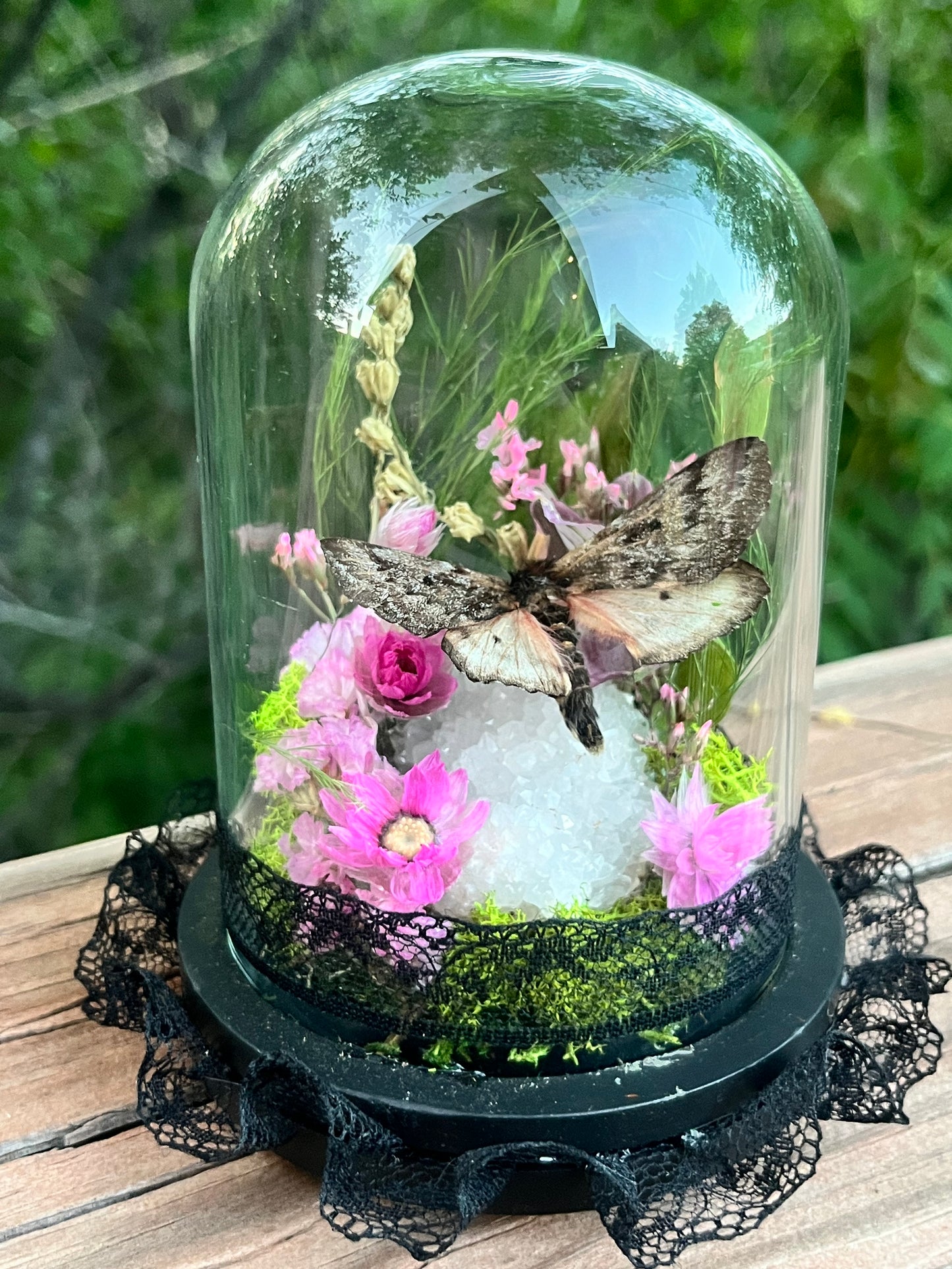 Fairy