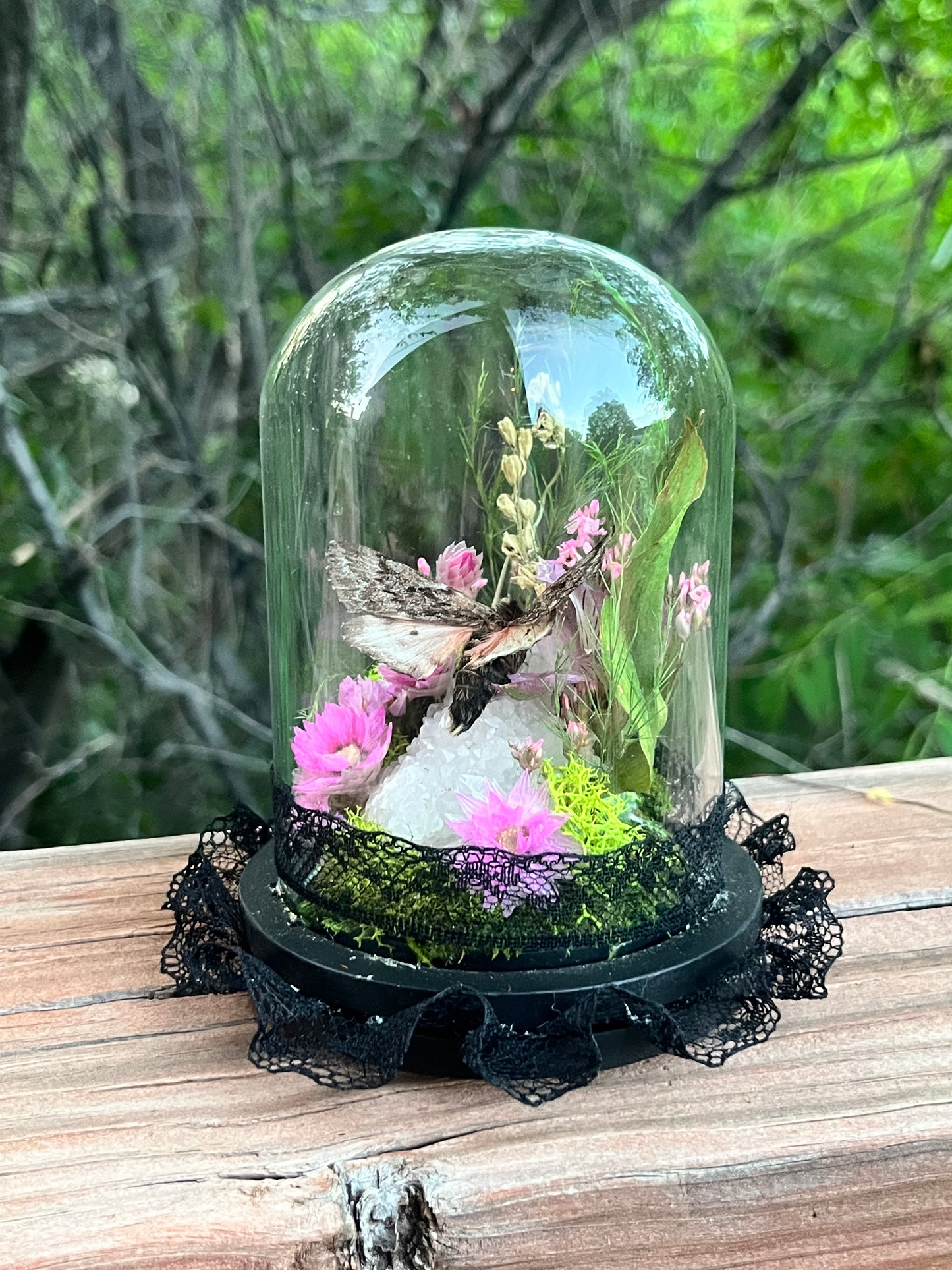 Fairy