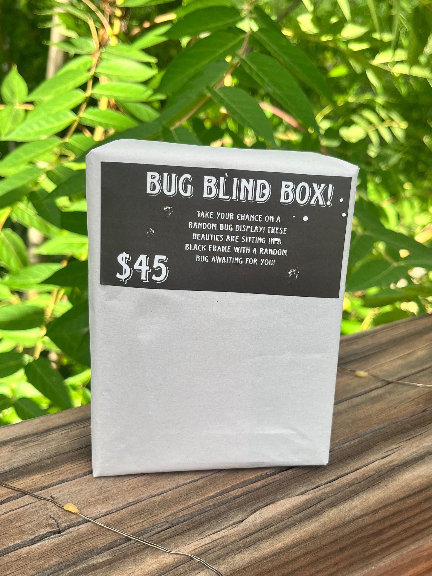 Blind box!